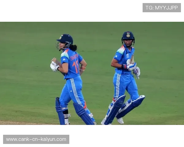 板球世界杯:团队协作引领胜利,板球国际赛事 板球世界杯:团队协作引领胜利,板球国际赛事